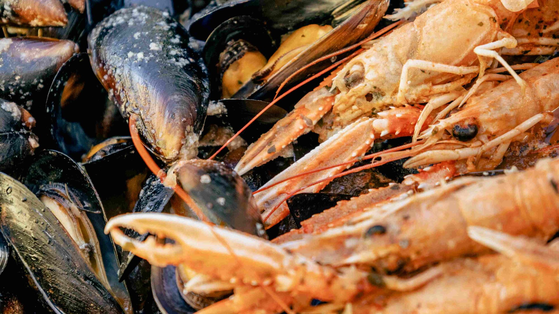 Delights of Novi on Sunday, September 20, offers main courses for five euros, desserts for three and a glass of wine for two