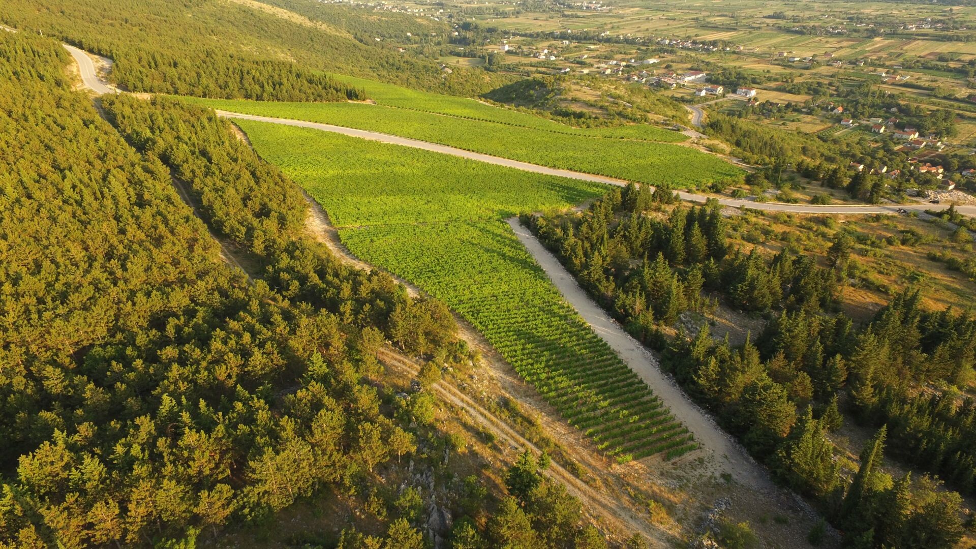 Grabovac