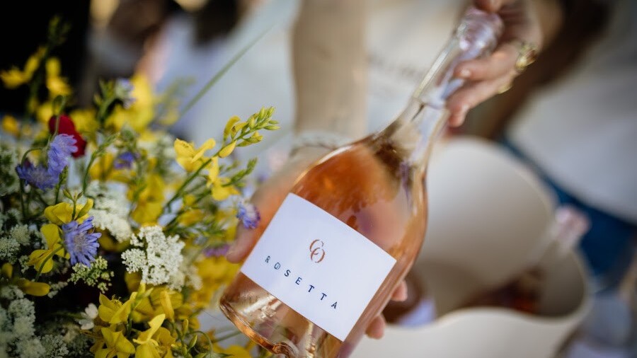 Ljetni vinski trio: Moreno Coronica napunio je prvi rosé, njegova je Rosetta čisti merlot
