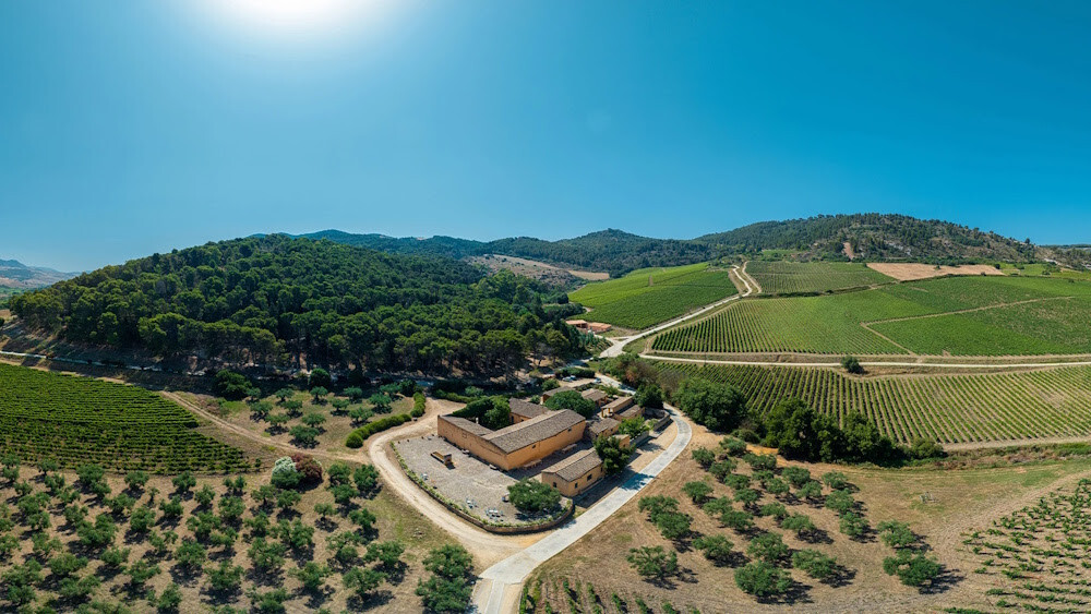 Planeta Chardonnay 2024. vino je kojim glasovita sicilijanska vinarija slavi tri desetljeća posvećenosti velikoj sorti