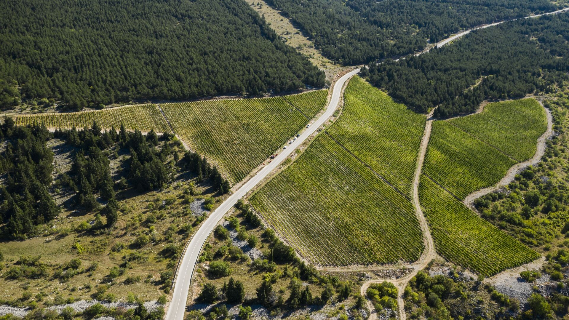 Grabovac